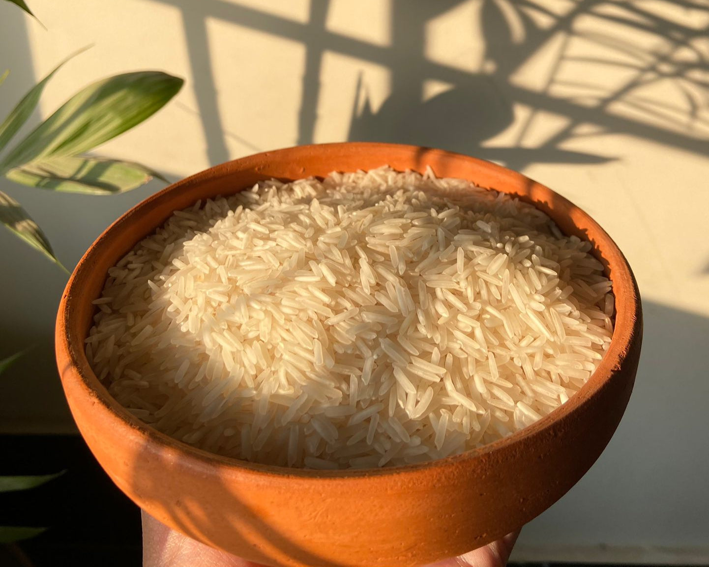 Premium Kainat 1121 Basmati Rice (Pure) - 1 Kg